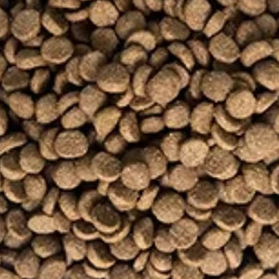 Economical Dry Food-Different Shapes