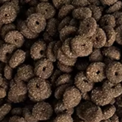 Economical Dry Food-Different Shapes-5