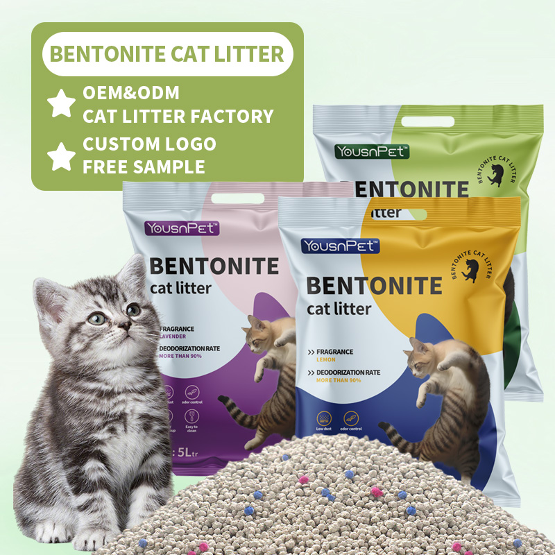 Bentonite Cat Litter: The Premium Choice for Pet Owners