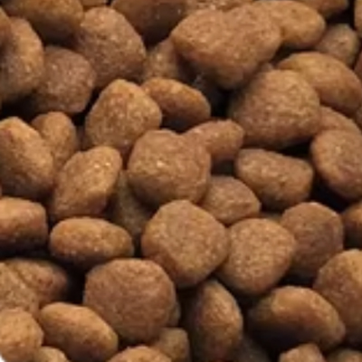 Economical Dry Food-Different Shapes-7