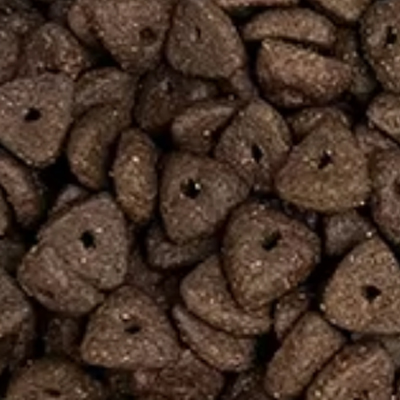 Economical Dry Food-Different Shapes-4