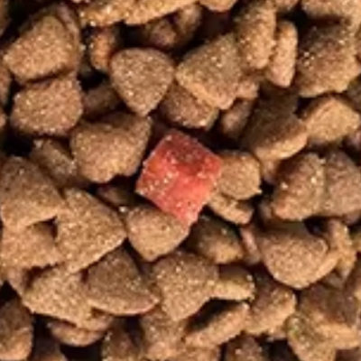 Economical Dry Food-Different Shapes-6