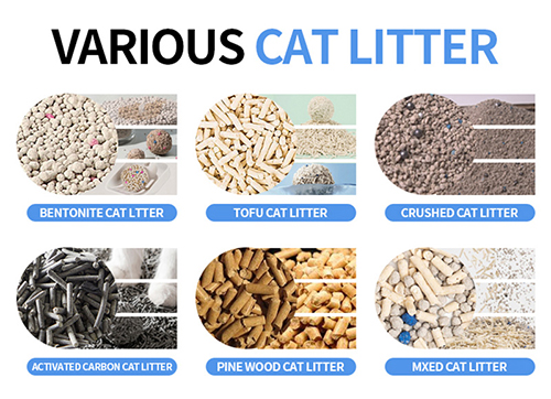 The Best Choice for Your Beloved Cat: An In-Depth Look at Bentonite Cat Litter and Tofu Cat Litter!