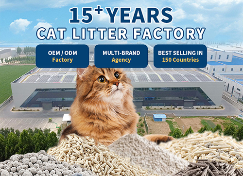 Bentonite Cat Litter: The Premium Choice for Pet Owners