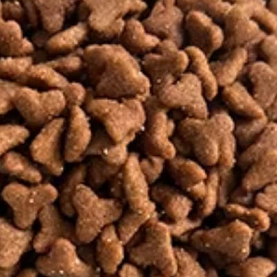 Economical Dry Food-Different Shapes-2