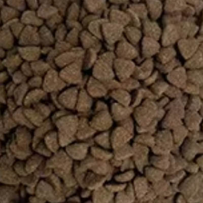 Economical Dry Food-Different Shapes-1